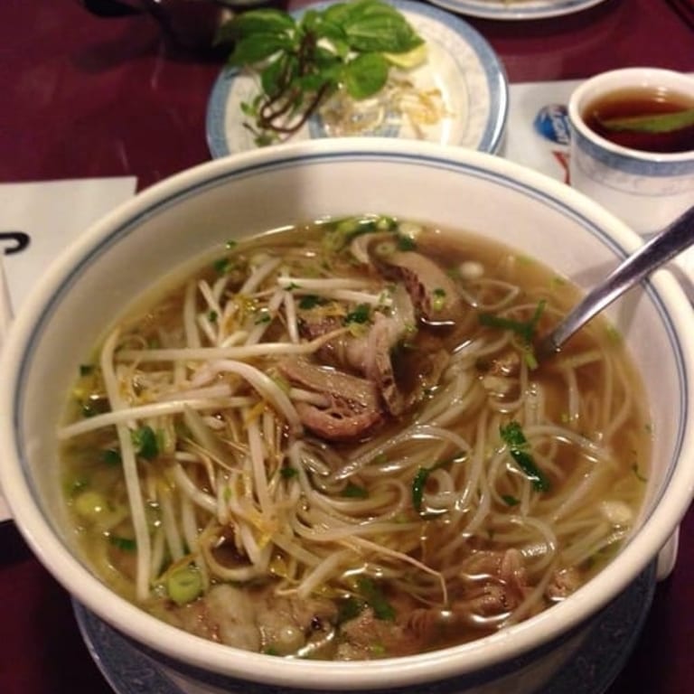 Fresh Spring Rolls Delight