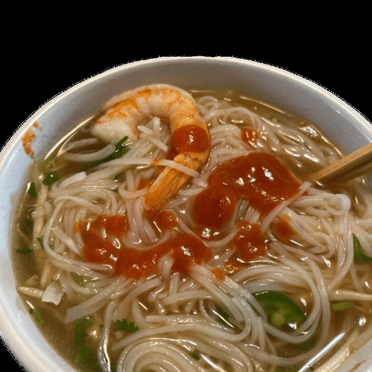 Fresh Vietnamese Spring Rolls and More